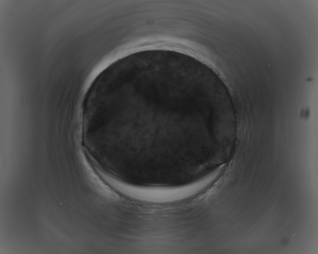 X0000091681522200708231405