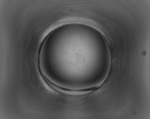 X0000091681523200708231405