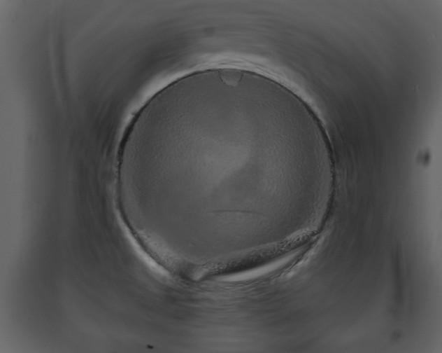 X0000091681525200708231405