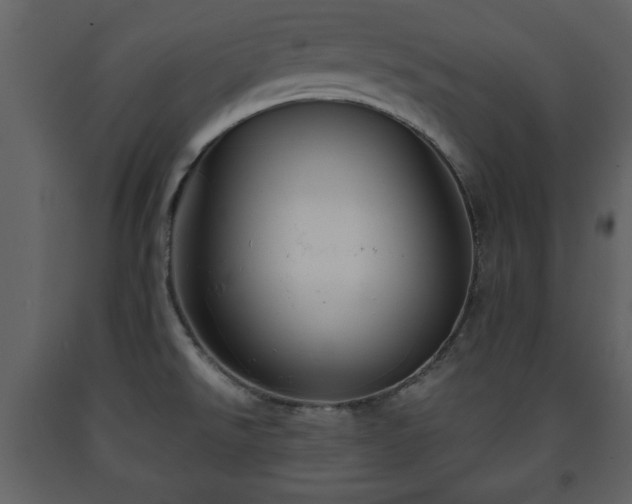 X0000091681526200708231405