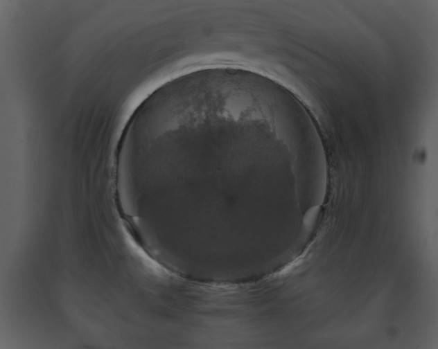 X0000091681527200708231405