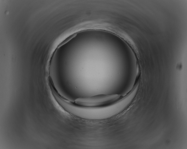 X0000091681528200708231405