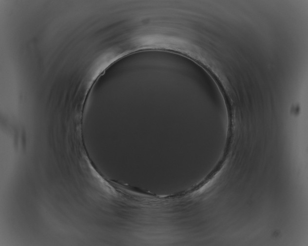 X0000091681529200708231405