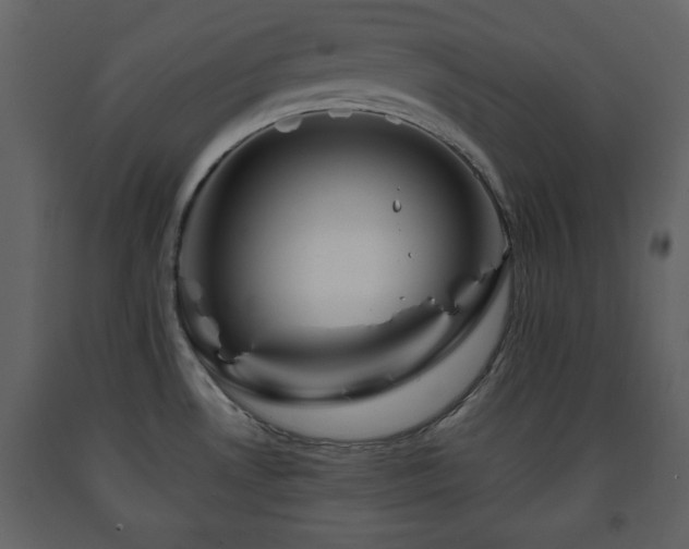 X0000091681530200708231405