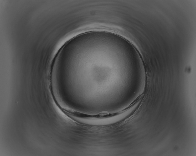 X0000091681531200708231405