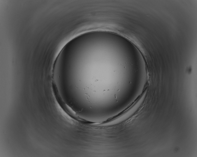 X0000091681532200708231405