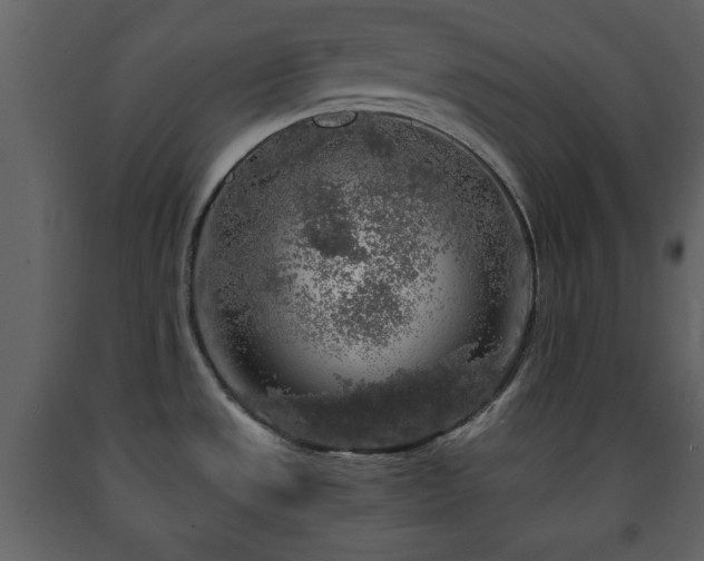 X0000091681533200708231405
