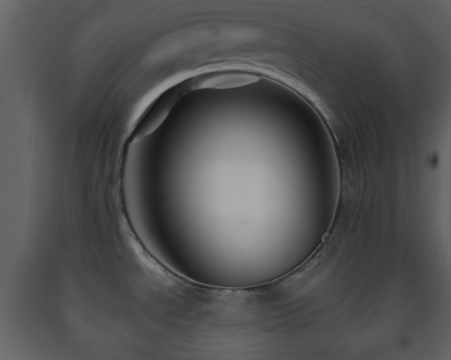 X0000091681534200708231405
