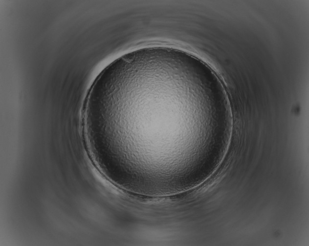X0000091681535200708231405
