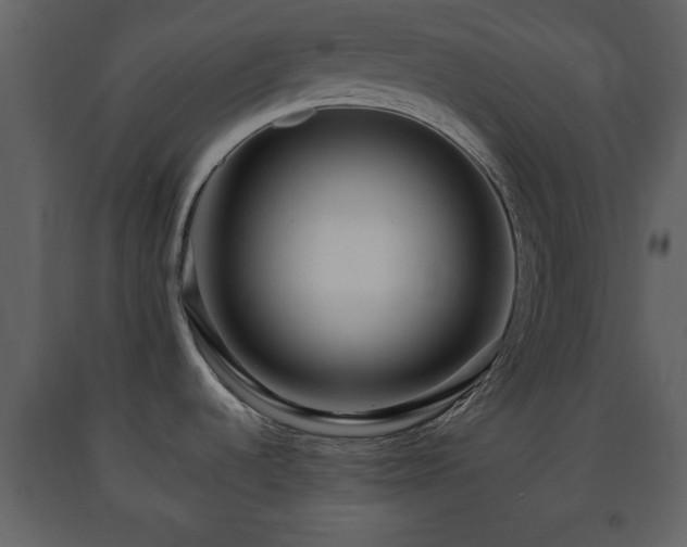 X0000091681536200708231405