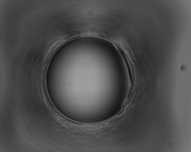 X0000091680001200708301529