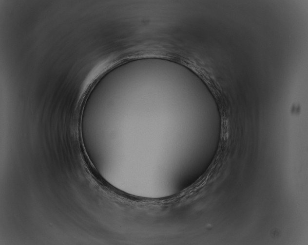X0000091680004200708301529