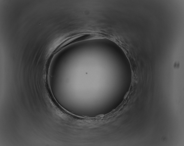 X0000091680005200708301529