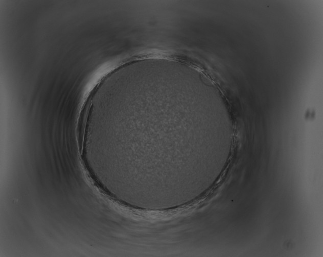 X0000091680006200708301529