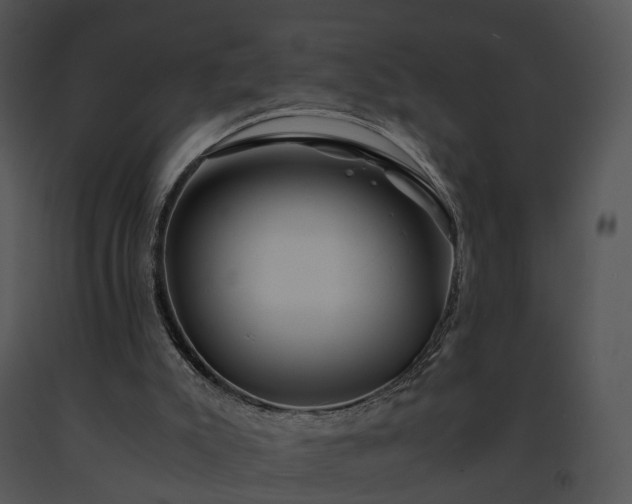 X0000091680007200708301529