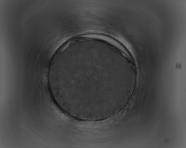 X0000091680009200708301529