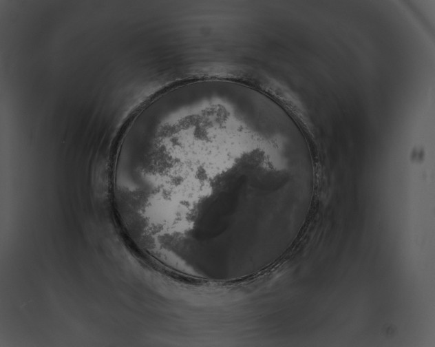X0000091680012200708301529