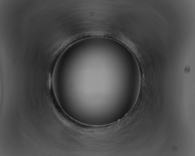 X0000091680013200708301529