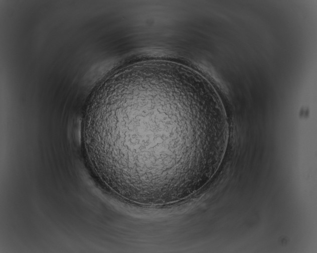 X0000091680014200708301529