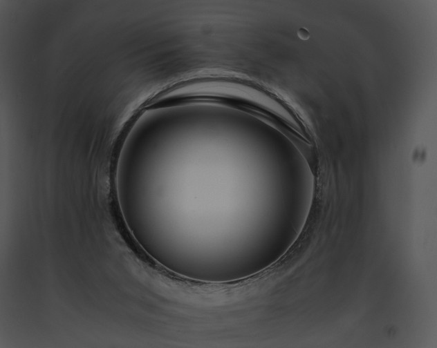 X0000091680015200708301529