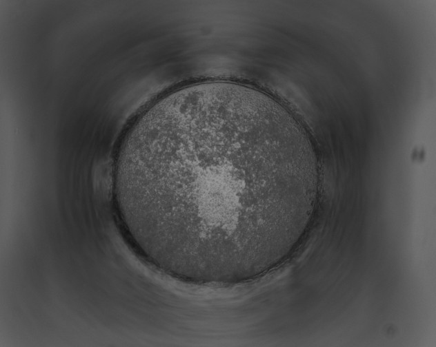 X0000091680016200708301529