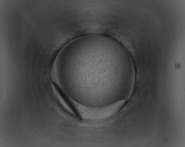 X0000091680017200708301529