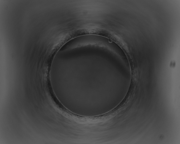 X0000091680018200708301529