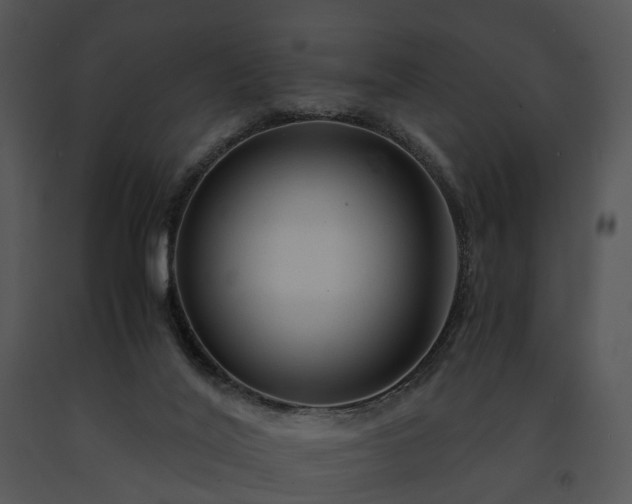 X0000091680020200708301529