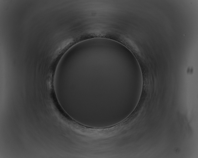 X0000091680023200708301529