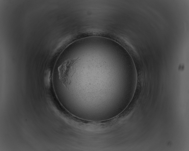 X0000091680024200708301529
