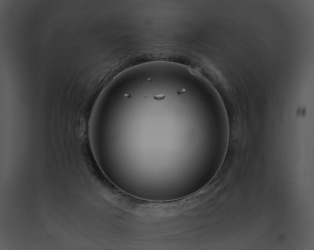 X0000091680025200708301529