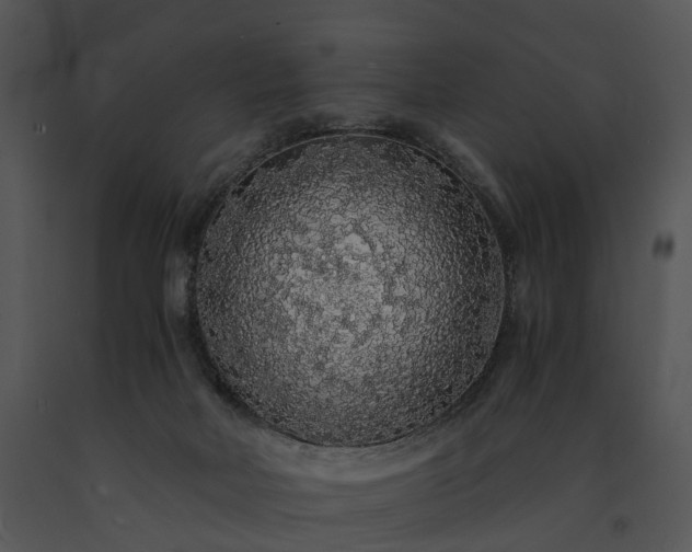 X0000091680026200708301529