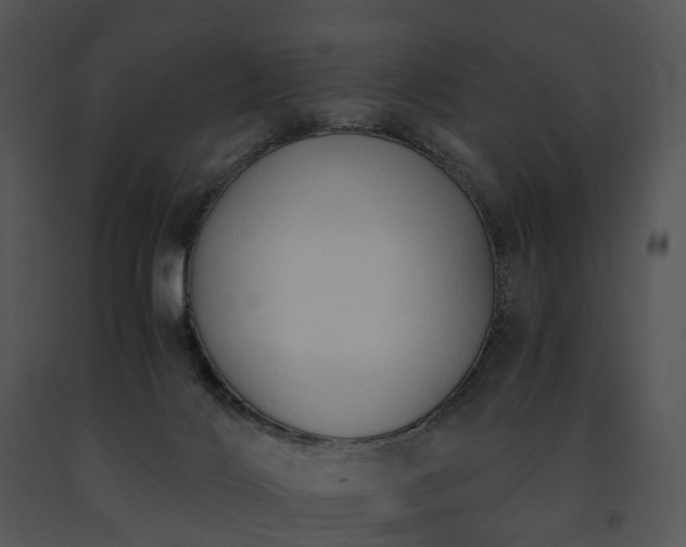 X0000091680028200708301529