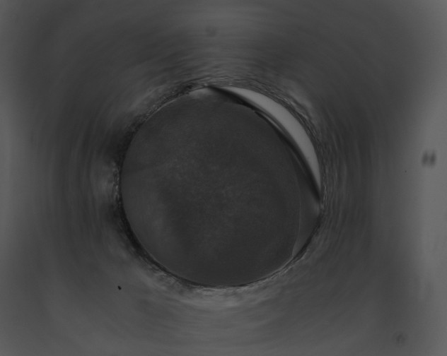 X0000091680029200708301529