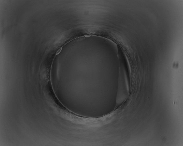 X0000091680031200708301529