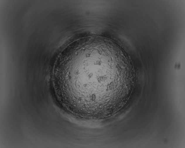 X0000091680032200708301529