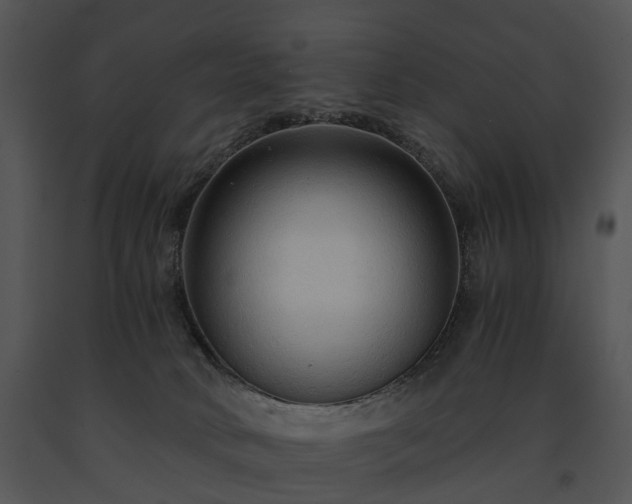 X0000091680034200708301529