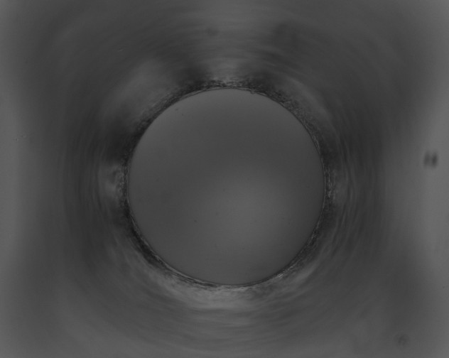 X0000091680036200708301529