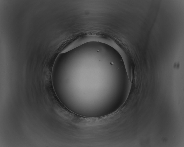 X0000091680037200708301529