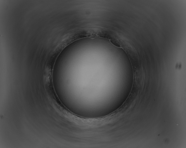X0000091680038200708301529