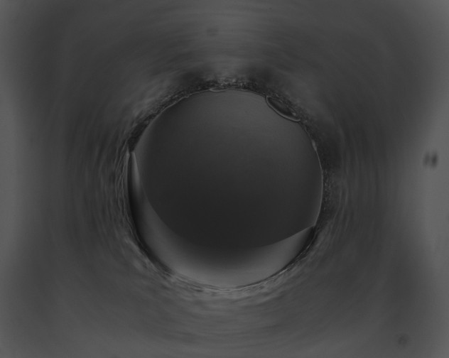 X0000091680039200708301529