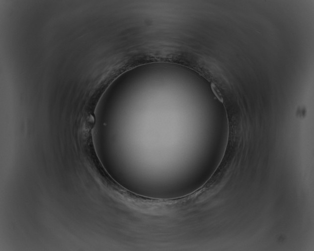 X0000091680040200708301529