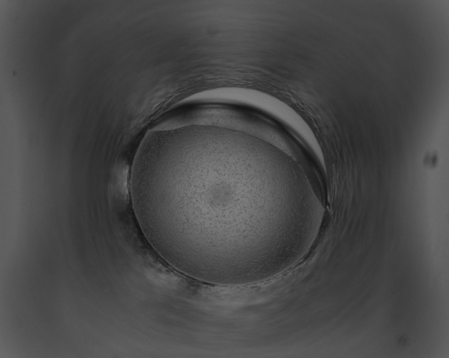 X0000091680041200708301529