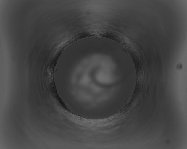 X0000091680043200708301529