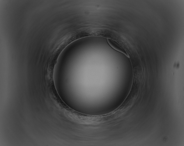 X0000091680044200708301529