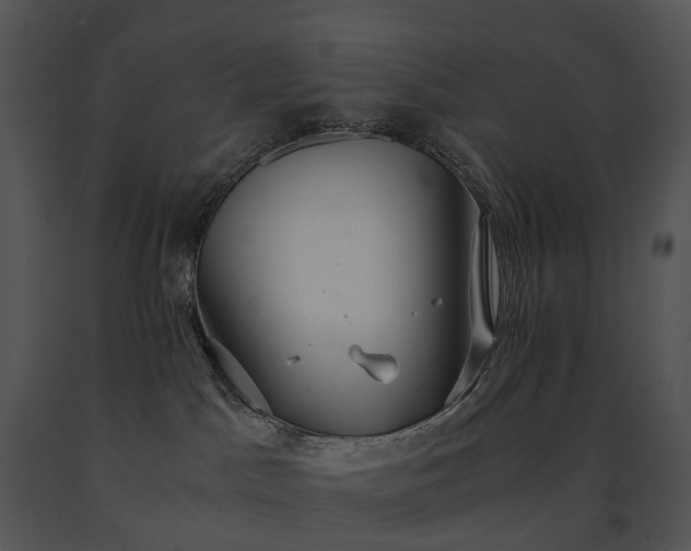 X0000091680045200708301529