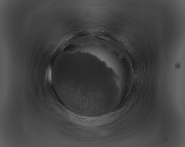 X0000091680046200708301529