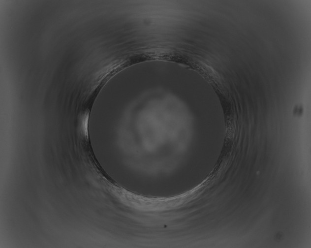 X0000091680047200708301529