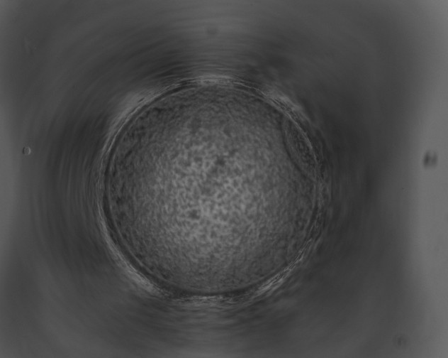 X0000091680049200708301528