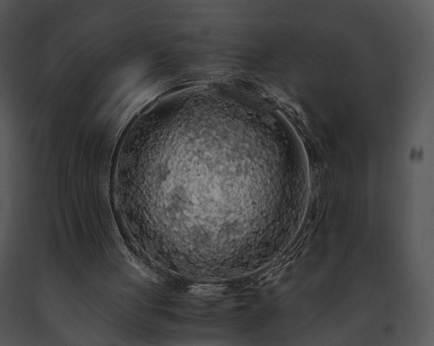 X0000091680051200708301528